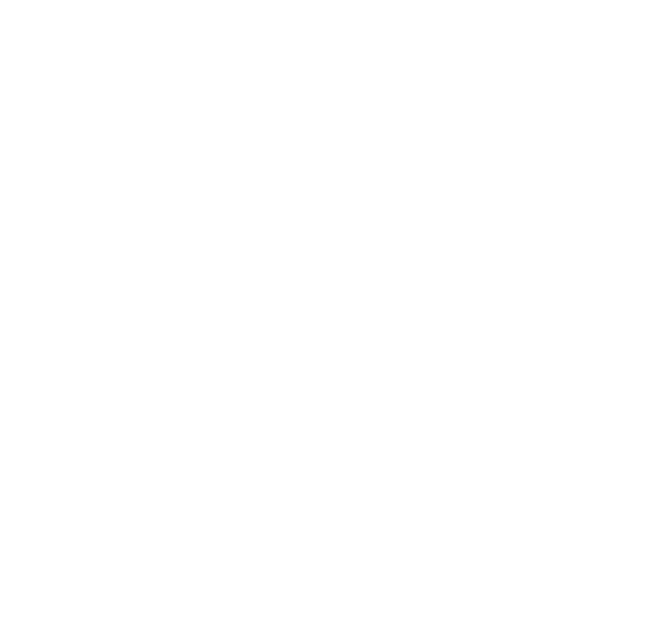 LC11